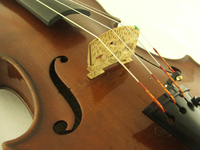 wp9fc74941.jpg