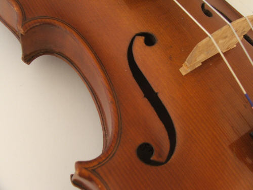wpbee02790.jpg