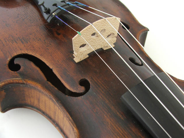 wp1f6bdc5b.jpg