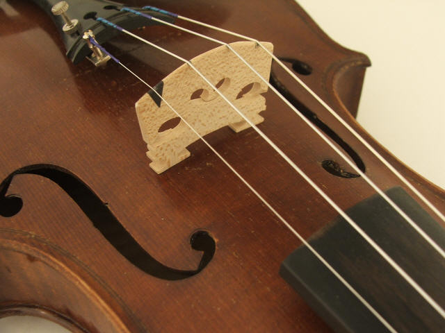 wp348c126f.jpg
