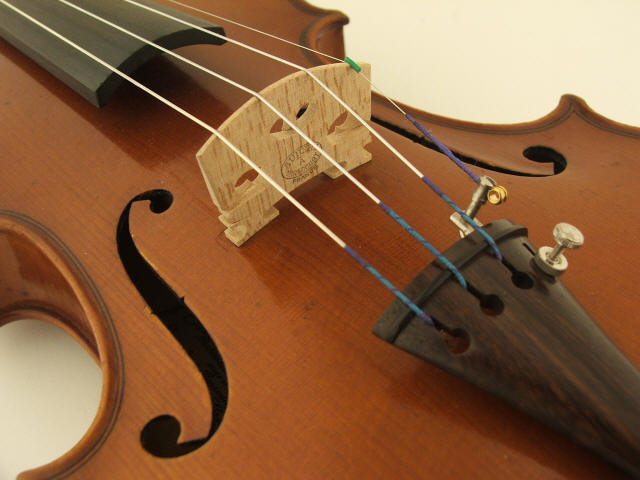 wpf53138e5.jpg