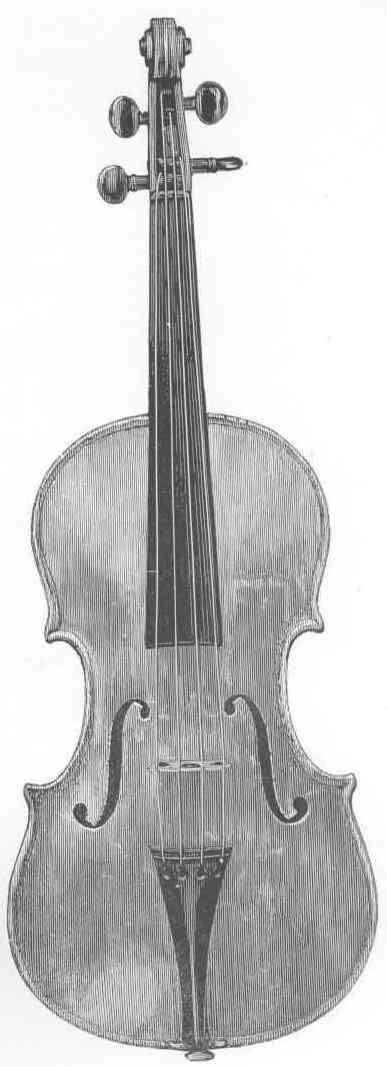 STORIONI.