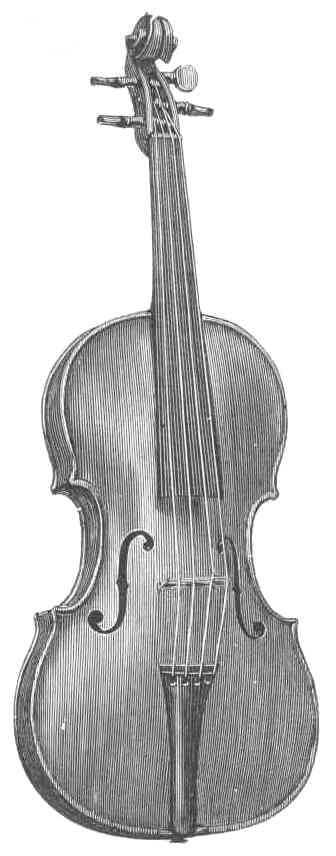 JACOBUS STAINER.