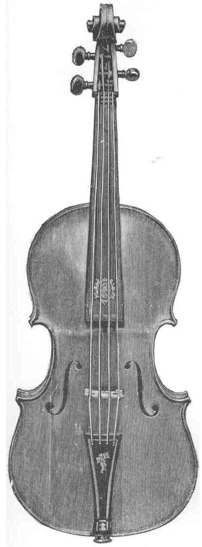 ANTONIO STRADIVARI. Tenor.